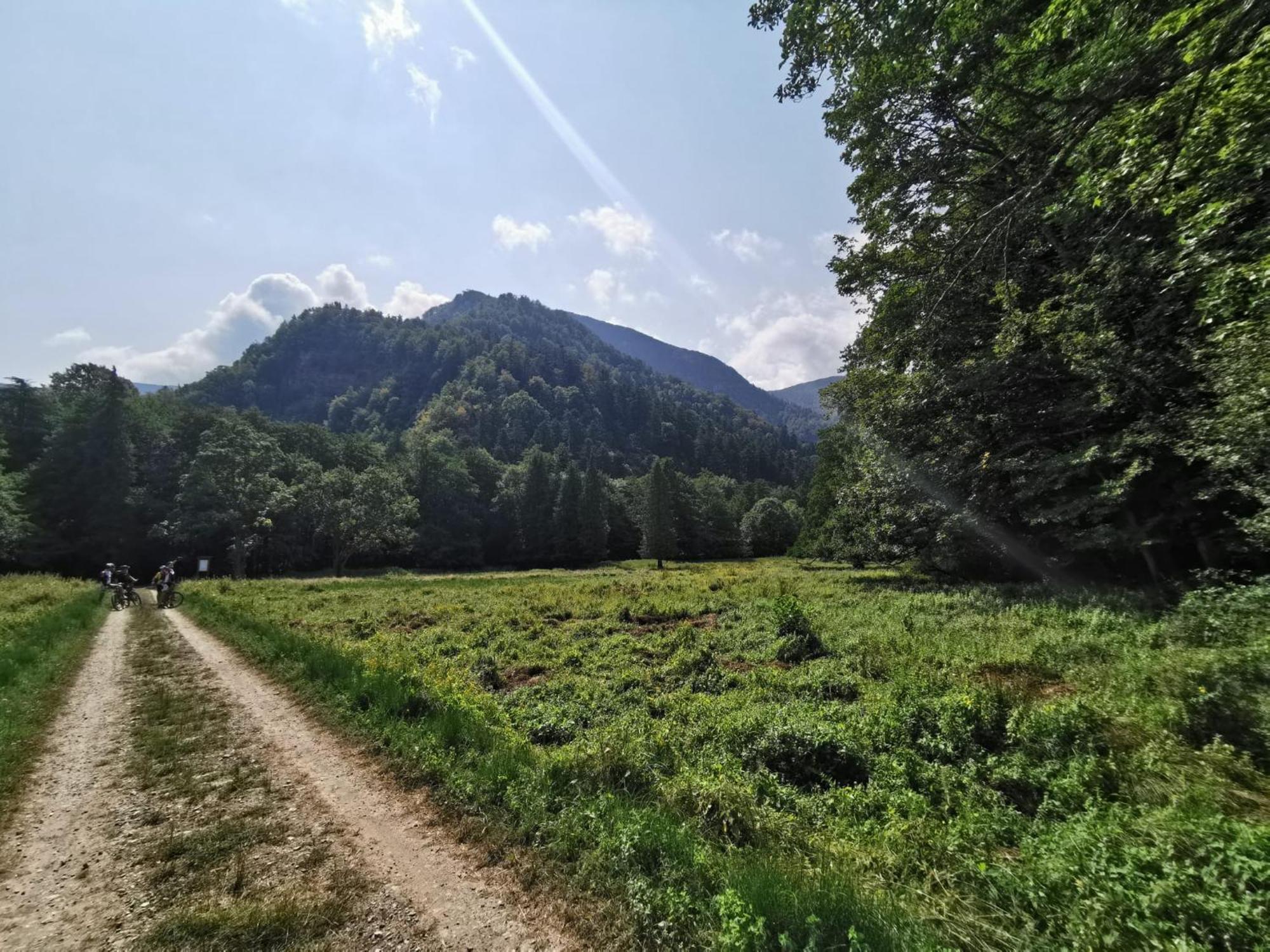 Il Rifugio Di Vale Villa Cetica Luaran gambar